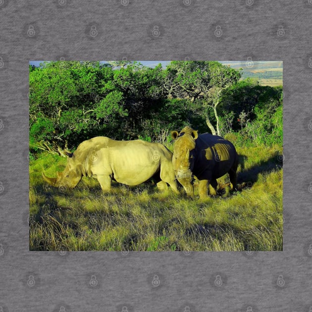 African Wildlife Photography Rhinoceros Couple by PathblazerStudios